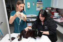 Black Cat 2021 Cabernet Sauvignon